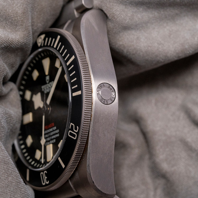 2023 Tudor Pelagos LHD Titanium 42mm 25610TNL