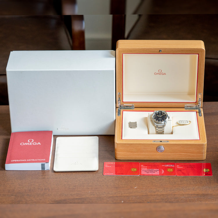 2020 Omega Seamaster Railmaster Co-Axial 220.10.40.20.01.001