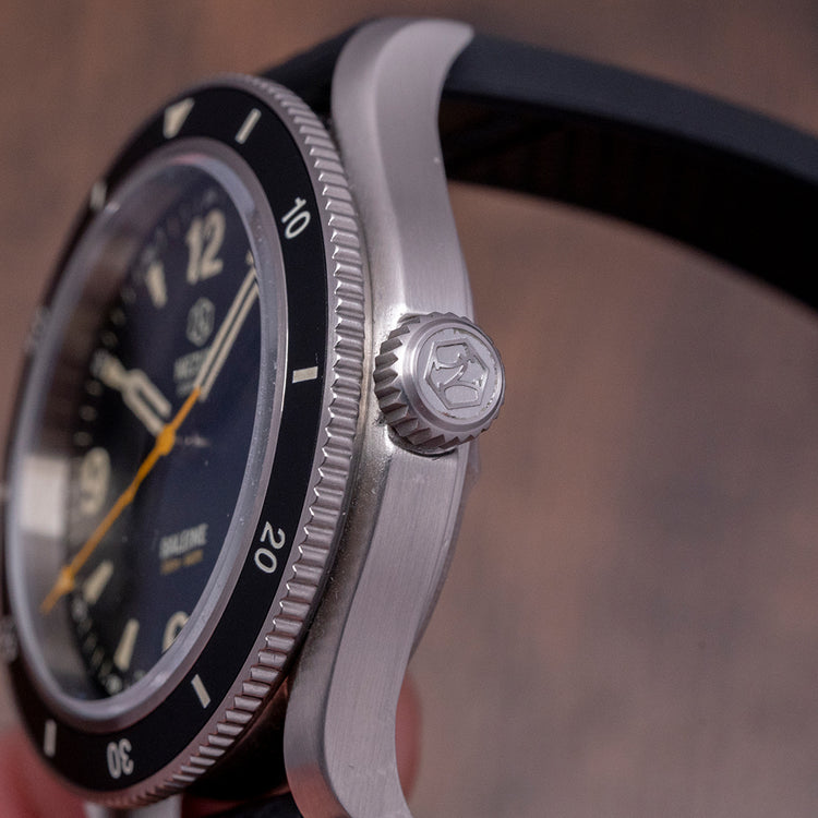 2024 Nezumi Baleine Automatic Diver 40mm BA3.102